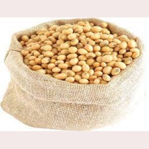 SOYA BEANS