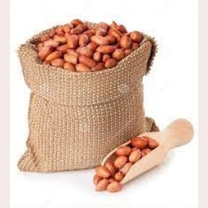 GROUNDNUT